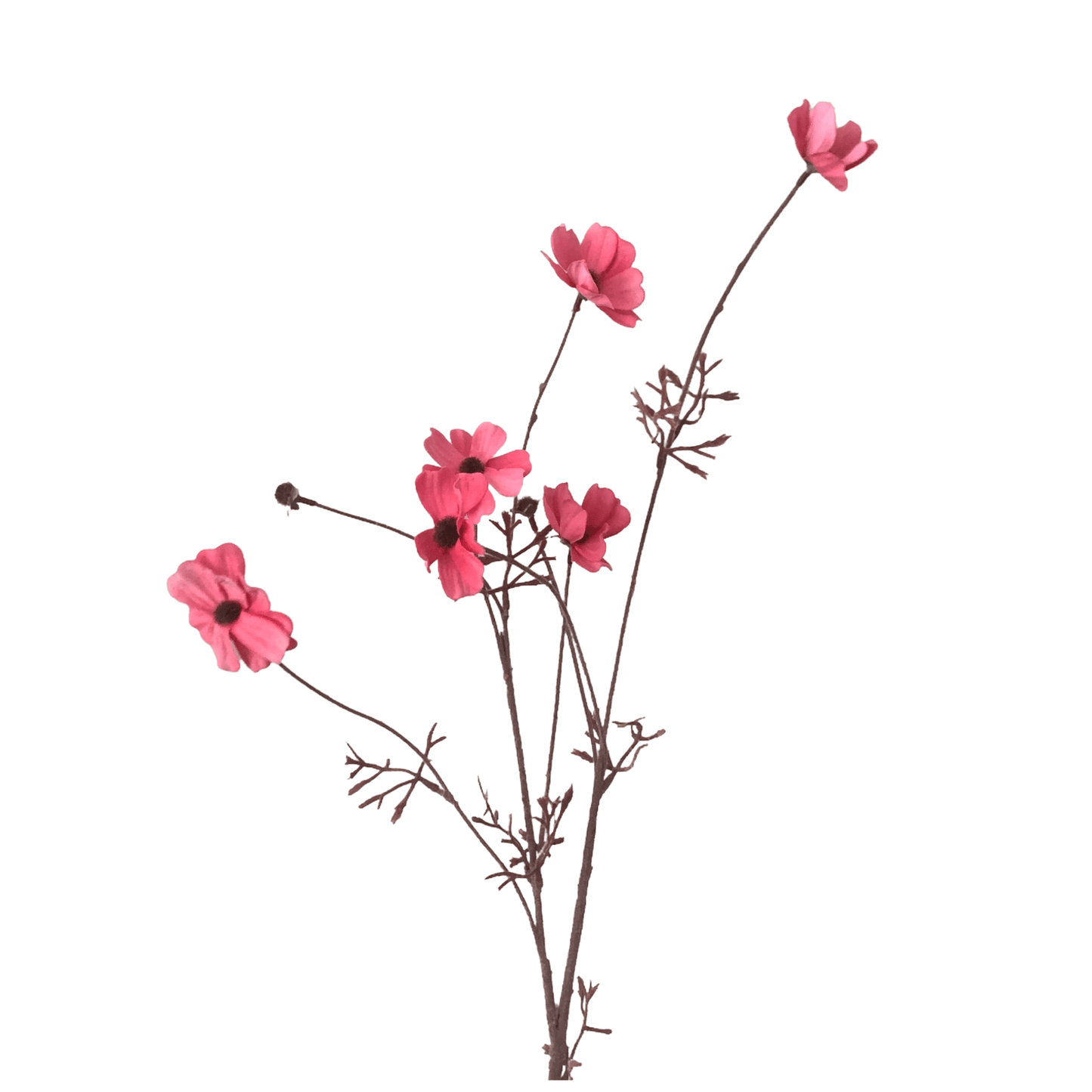 Zijden bloem Cosmos roze - Silka