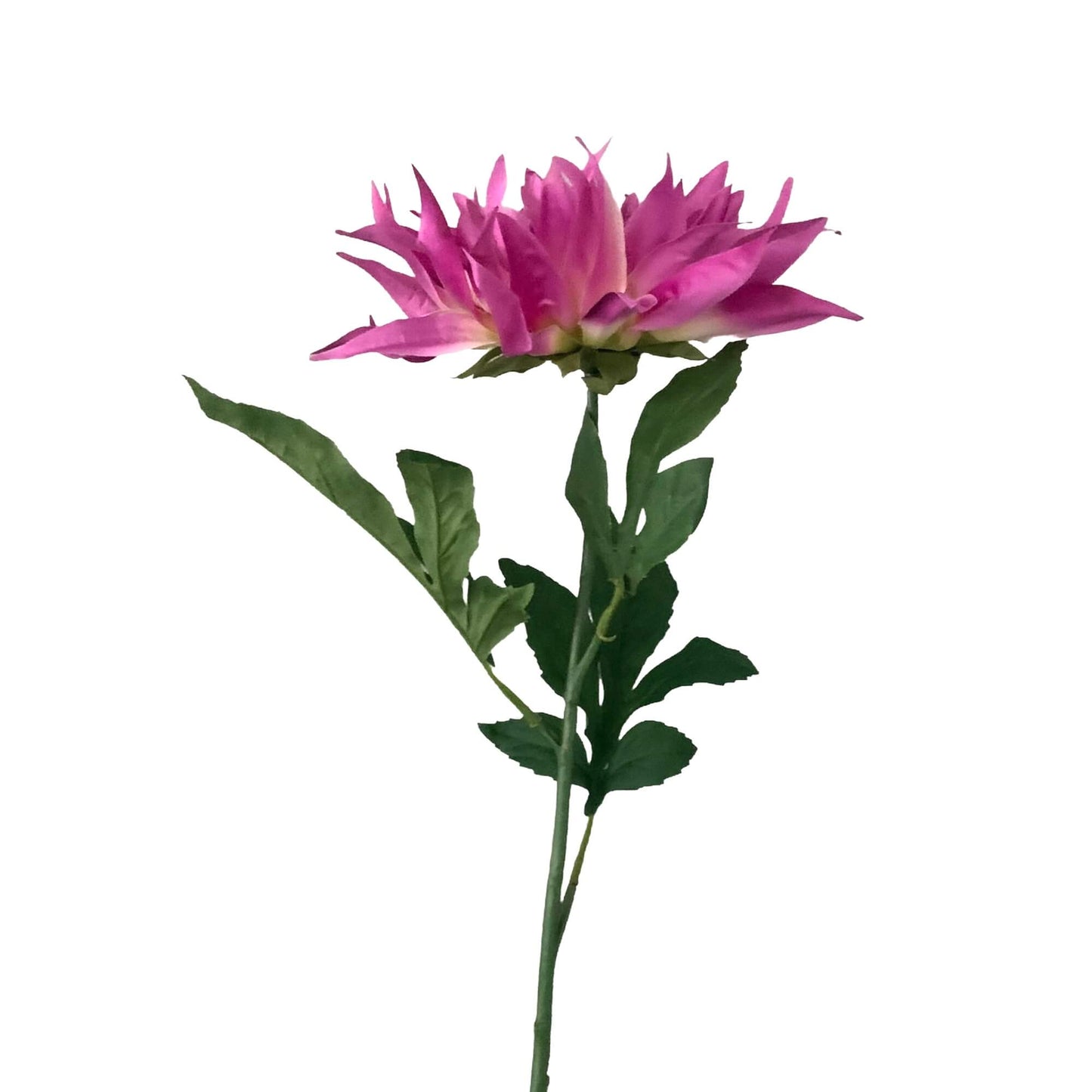 Zijden bloem Flame Dahlia