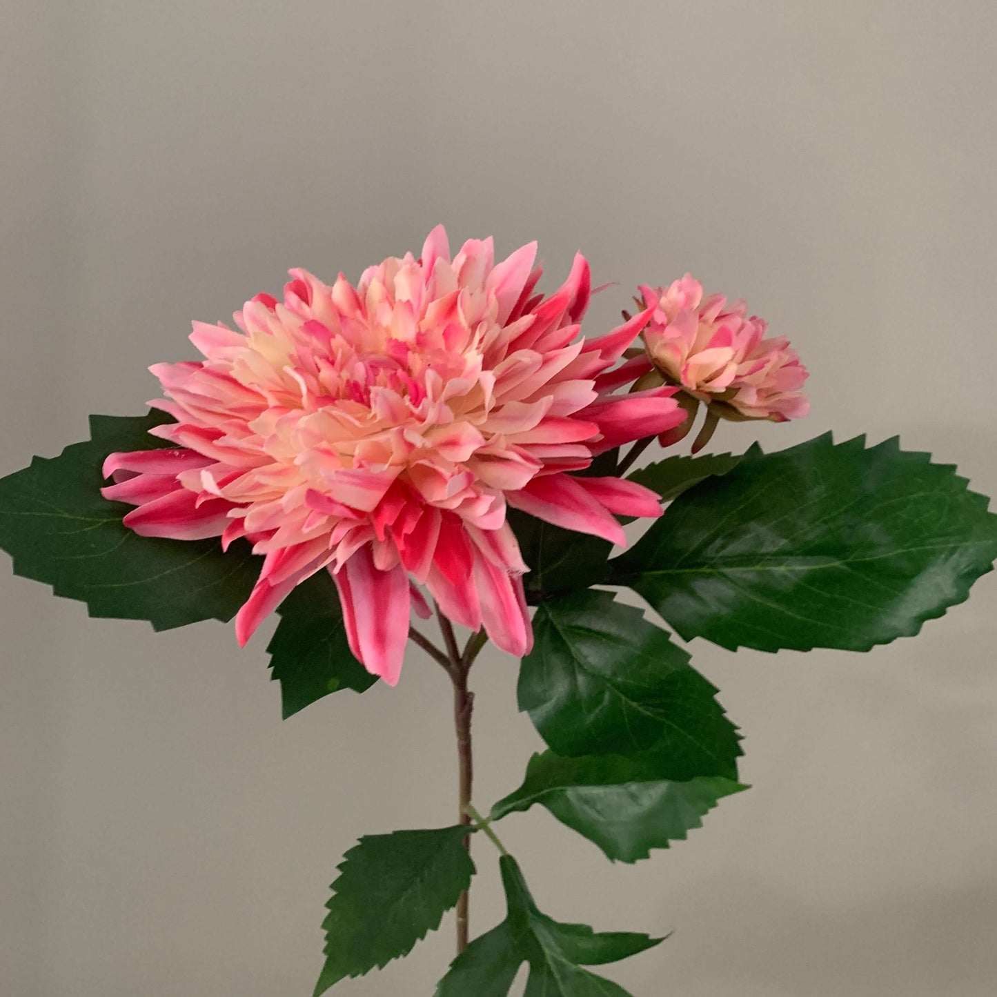 Zijden bloem Dahlia Sonic