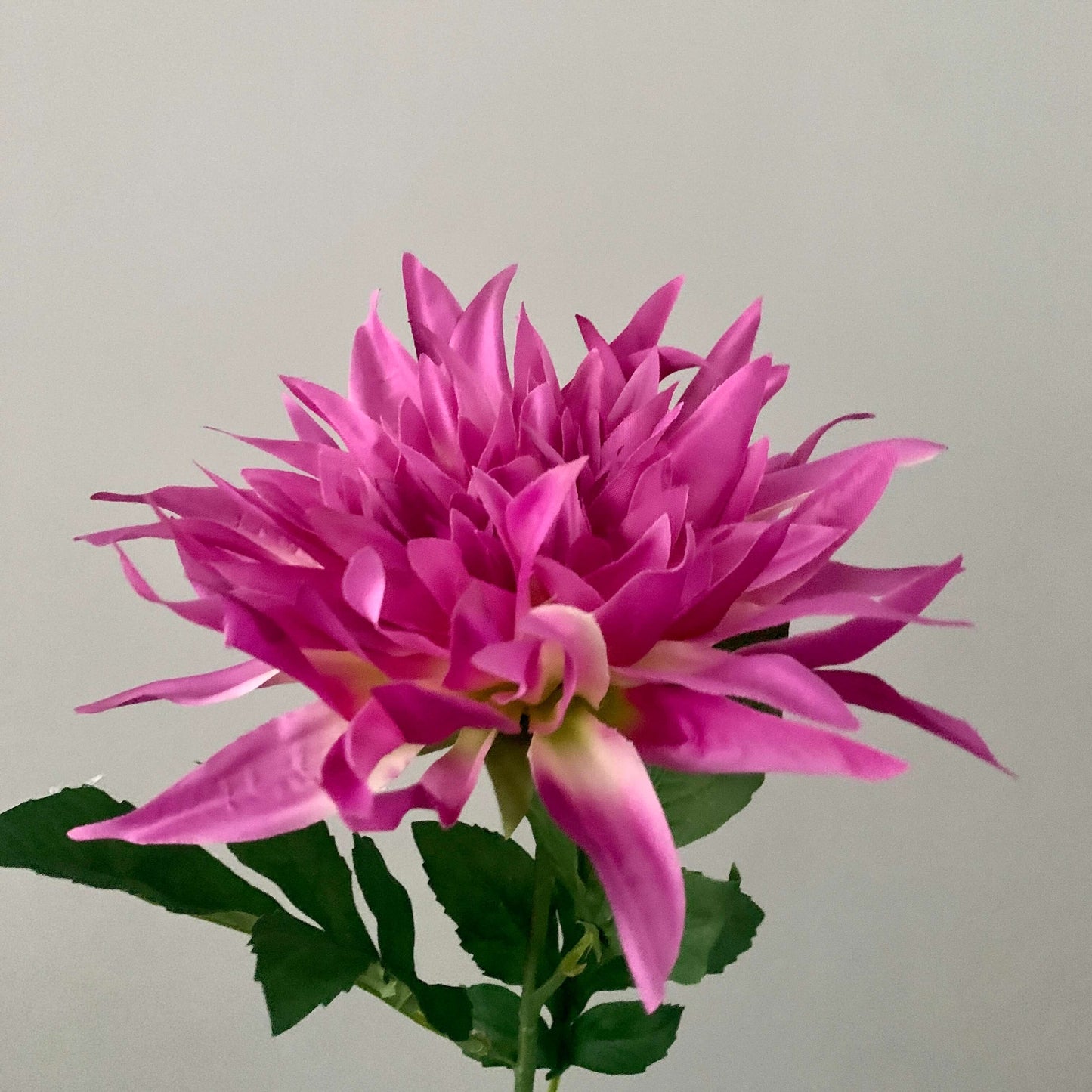 Zijden bloem Flame Dahlia