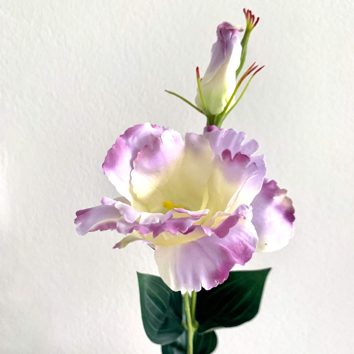 Zijden bloem Lisianthus