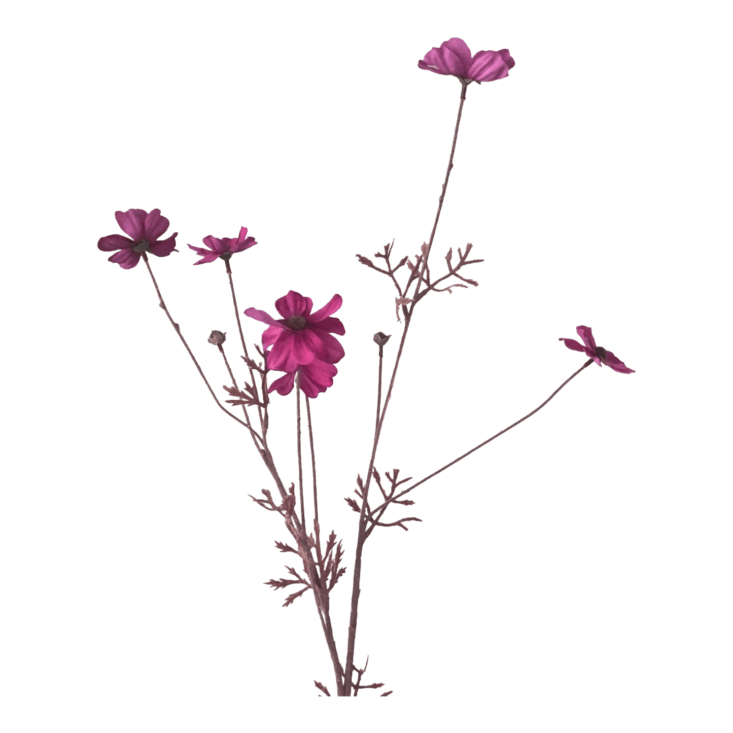 Zijden bloem Cosmos fuchsia roze - Silka