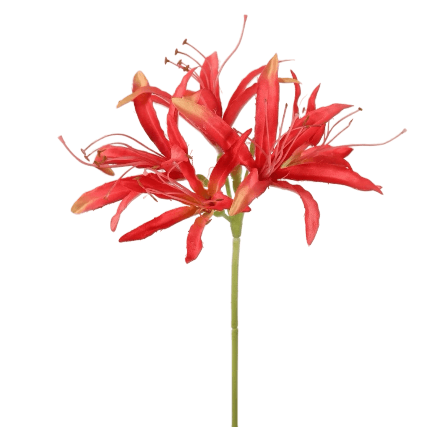 Zijden bloem Kliplelie