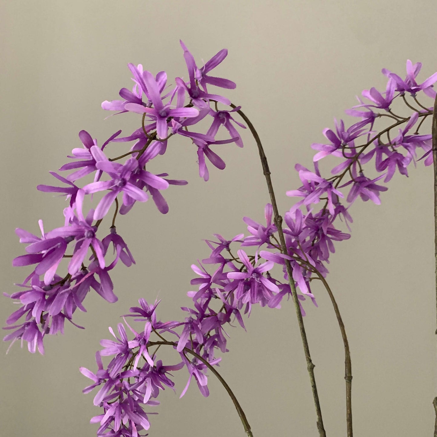 Zijden Wisteriatak in paars van SILKA