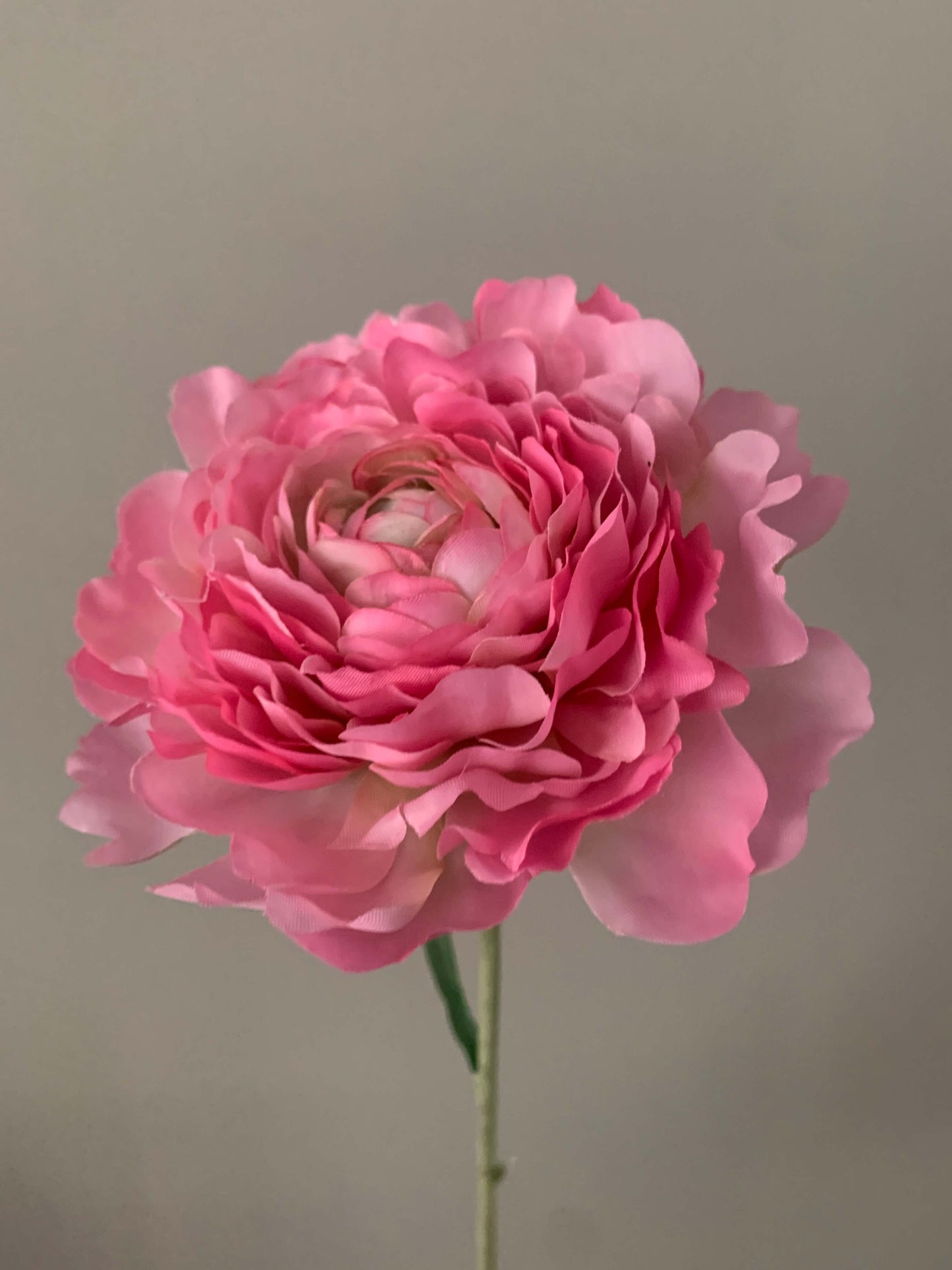 Zijden Bloem Ranonkel roze