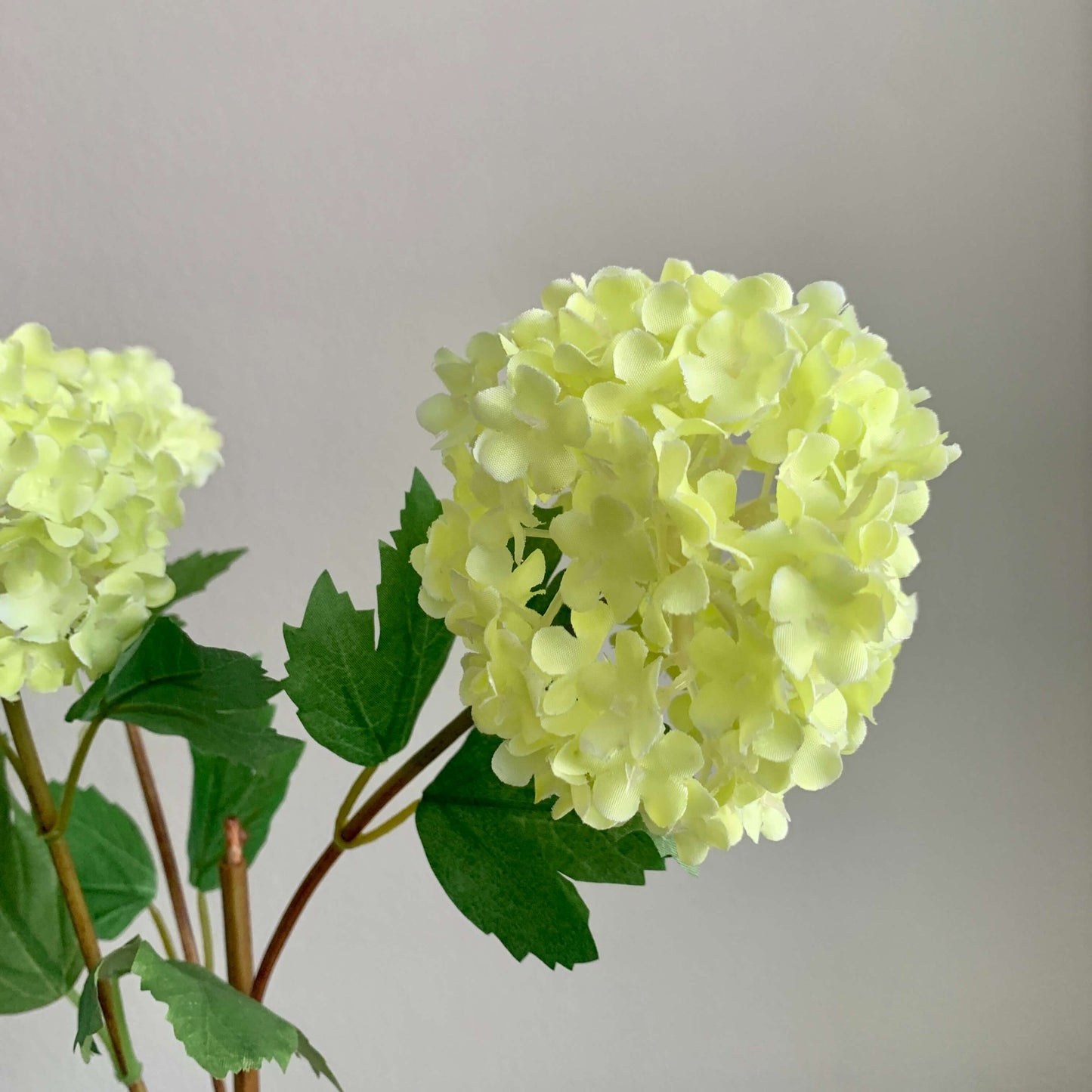 Zijden bloem Sneeuwbal