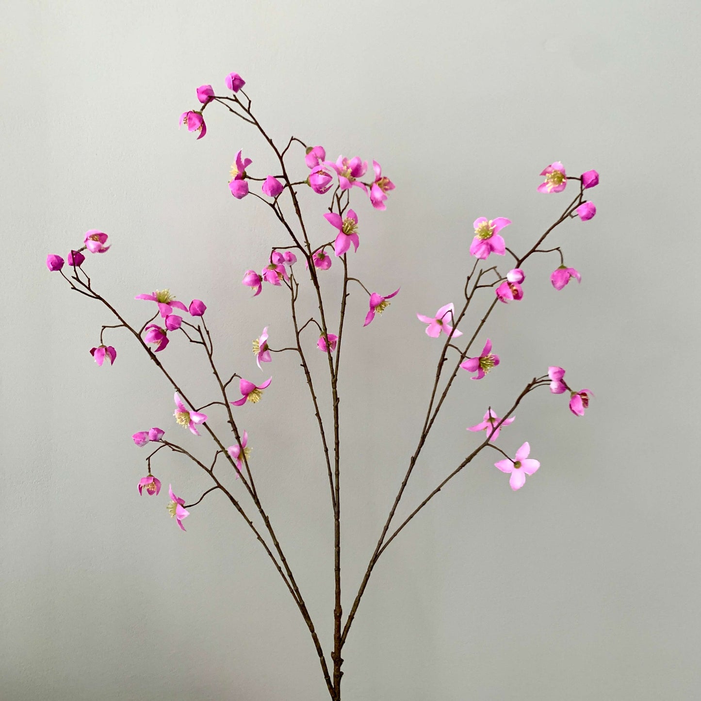 Kunsttak Thalictrum roze van Silka