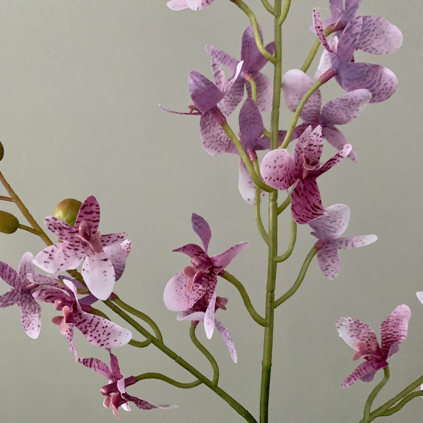 Zijden bloem Dancing Orchidee