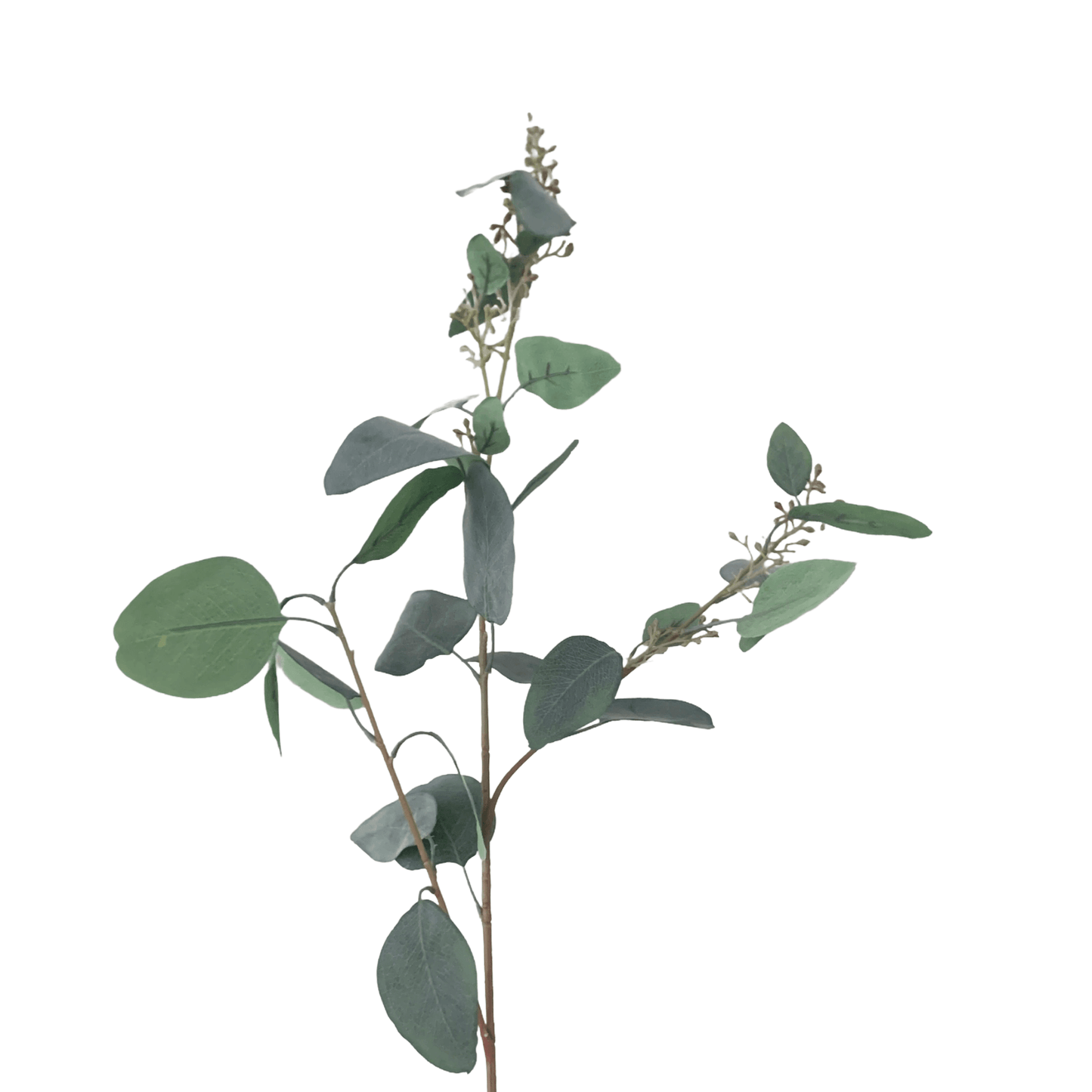 Zijden Eucalyptus tak