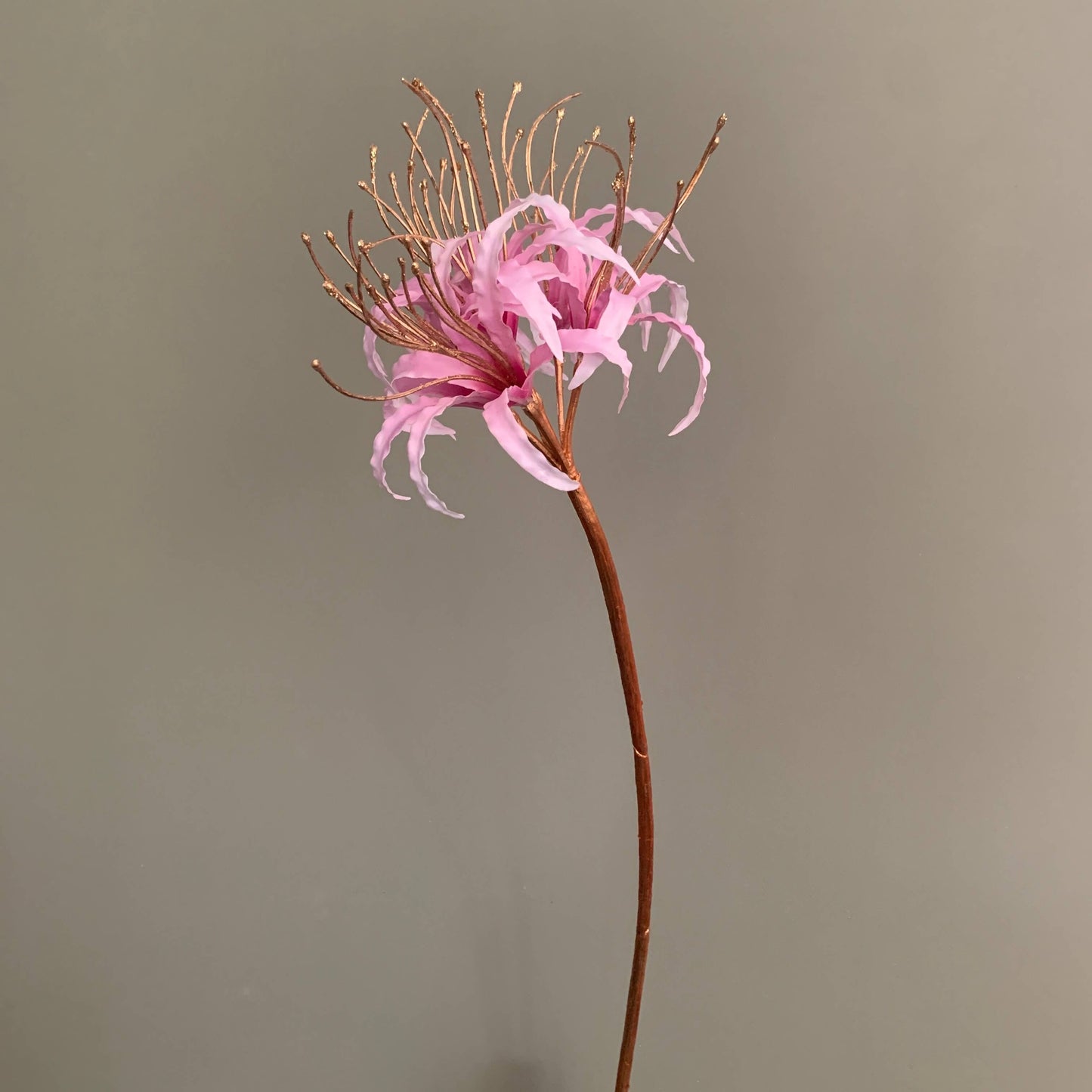Zijden bloem Nerine goud-roze van Silka
