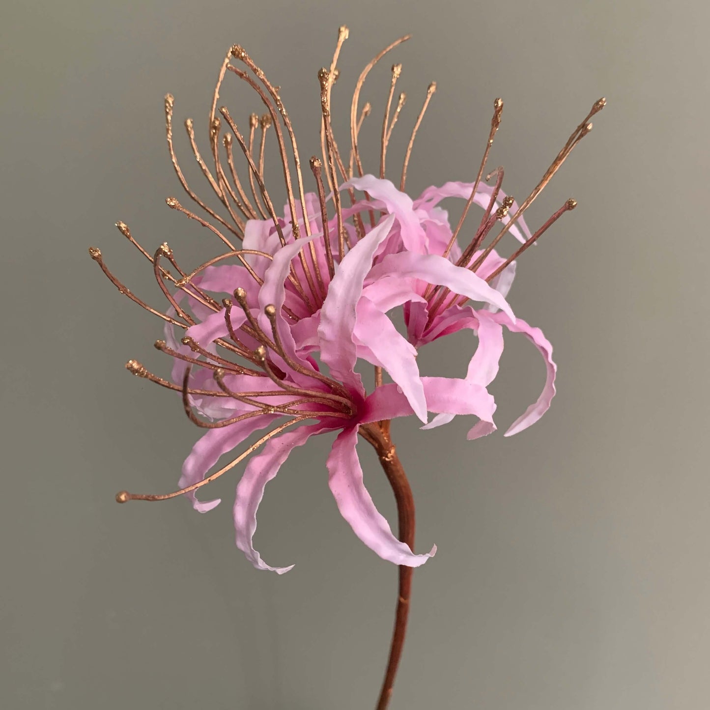 Zijden bloem Nerine goud-roze van Silka