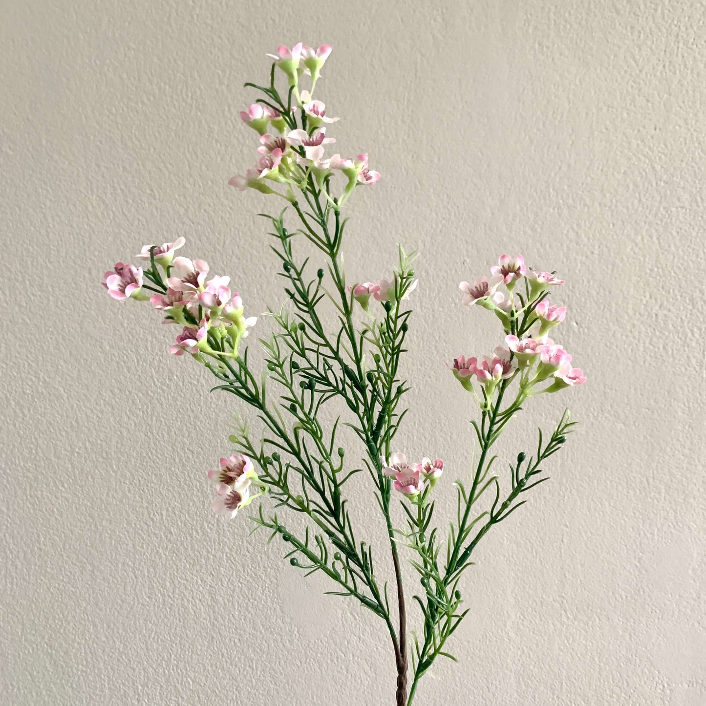 Kunstbloemen Wax flower zacht roze