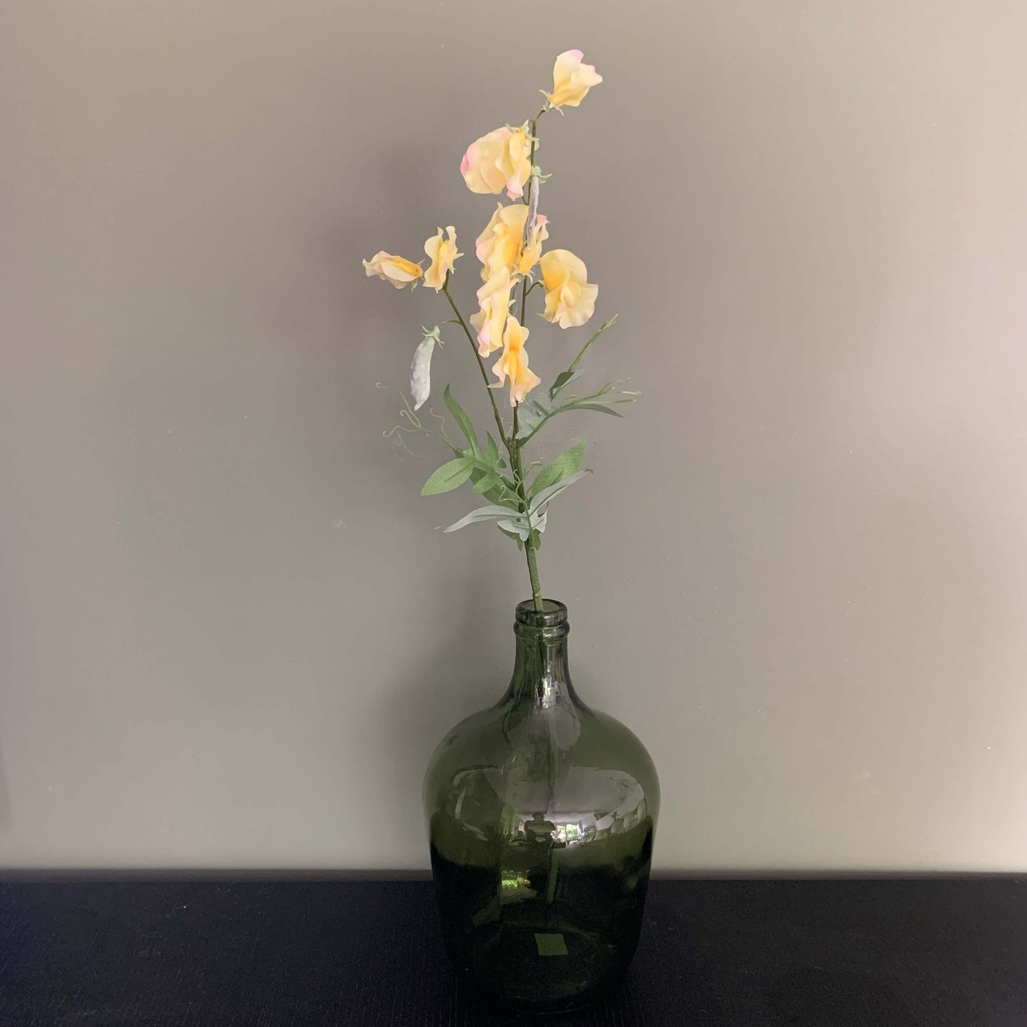 Zijden bloem Lathyrus