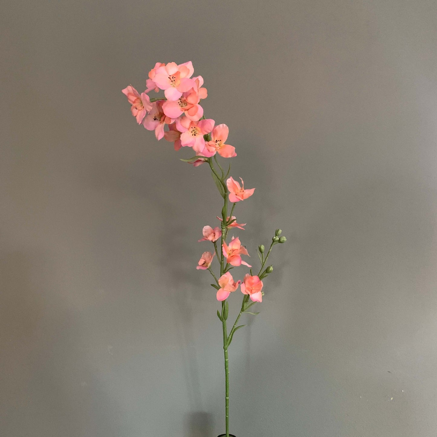 Zijden bloem Larkspur