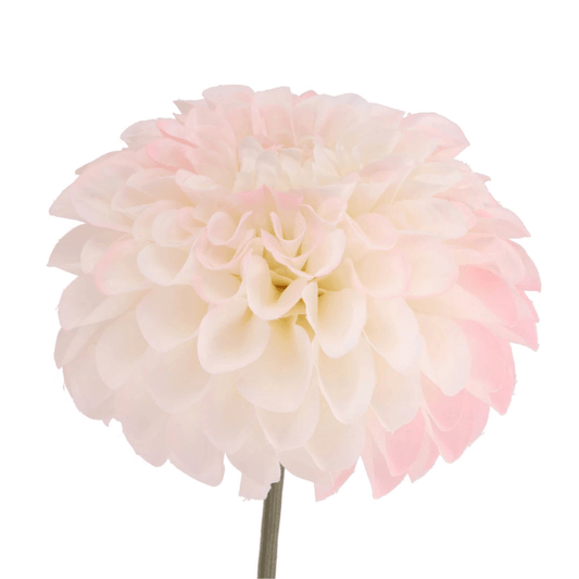 Kunstbloem Dahlia bol - wit/licht roze