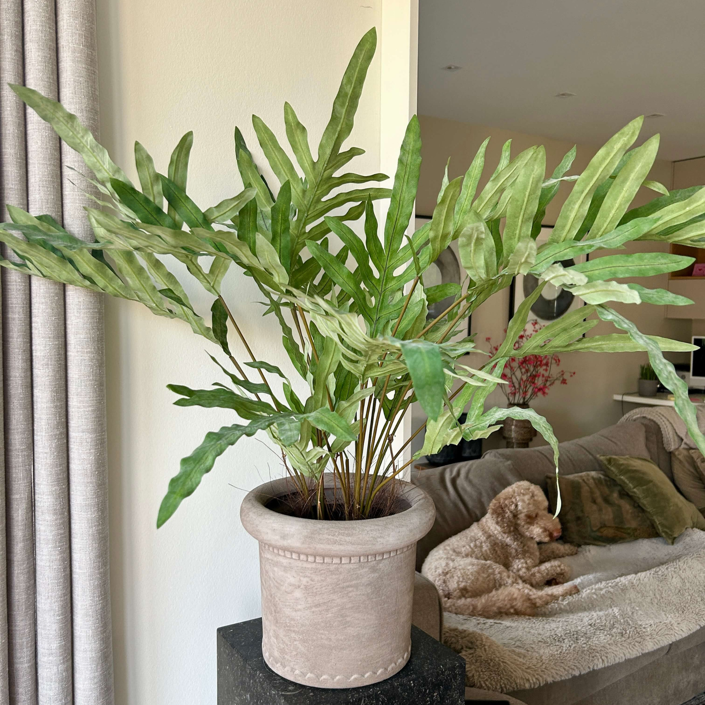 Kunstplant Phlebodium – 80 cm Hoog