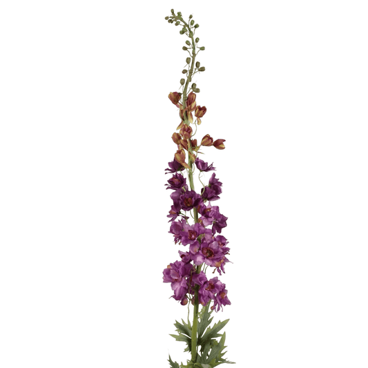 Delphinium Tak – Paarse Bloemen, 137 cm