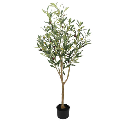 Kunst Olijfboompje op stam - 90cm en 120cm