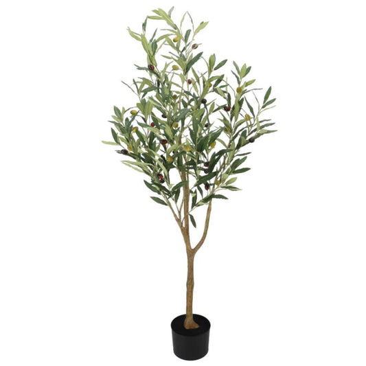 Kunst Olijfboompje op stam - 90cm en 120cm