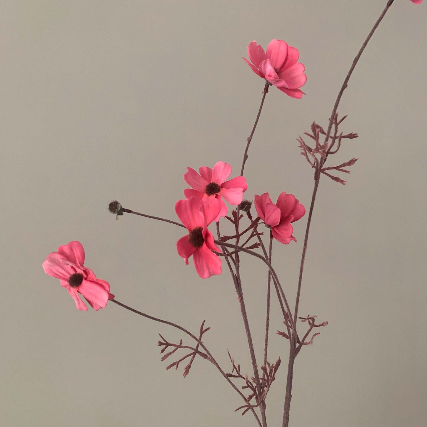 Zijden bloem Cosmos roze - Silka