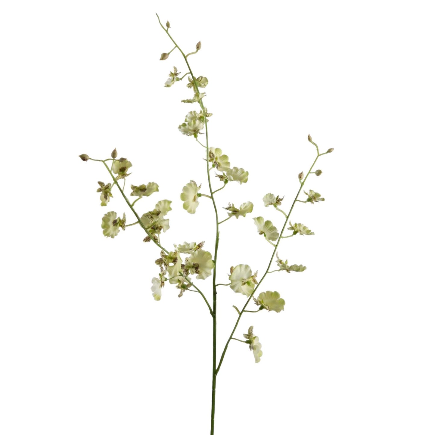 Zijden bloem Dancing Orchidee limegroen/wit
