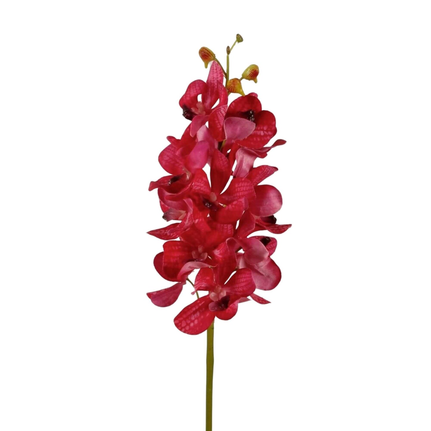 Zijden bloem Vanda Orchidee