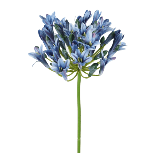 Zijden Agapanthus -75cm hoog