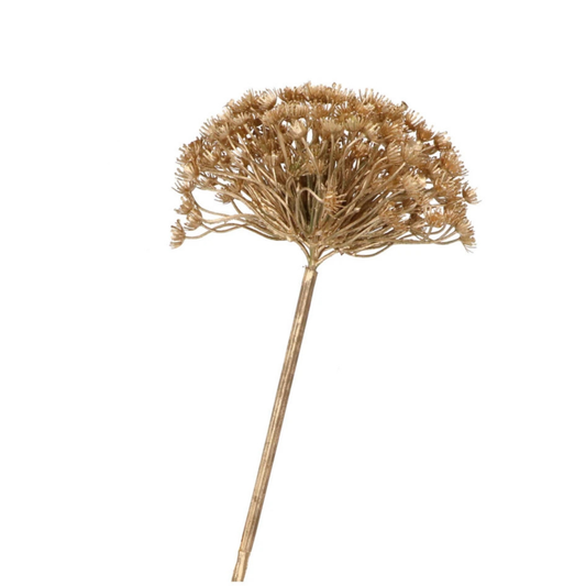 Gouden kunsttak - berenklauw - 56 cm
