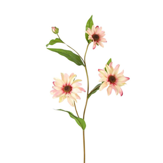 Zijden Black-Eyed Susan Bloem