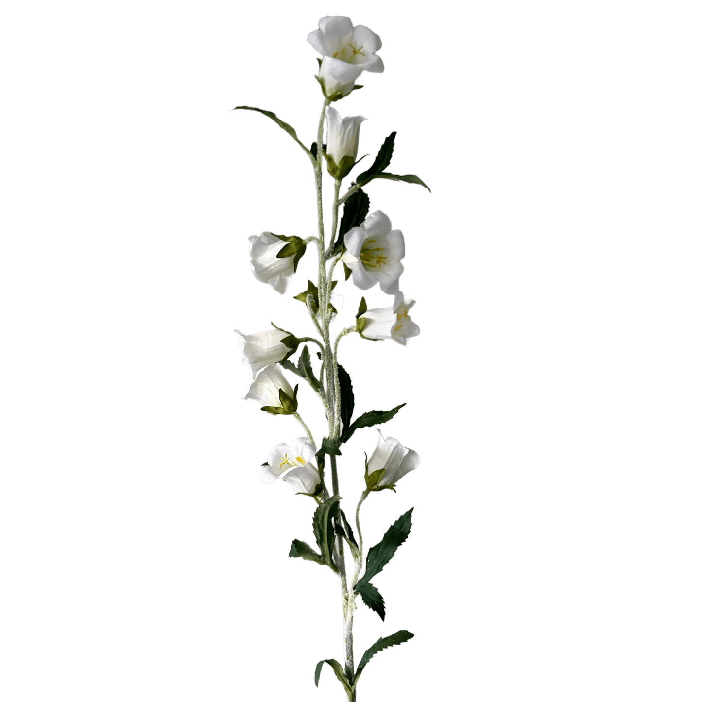 Zijden bloem campanula wit