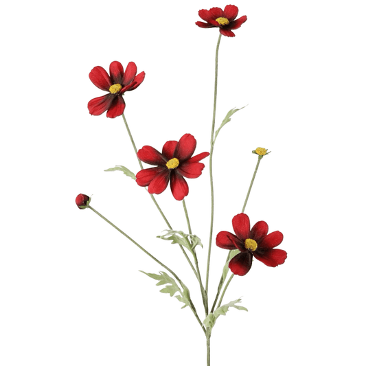 Zijden bloemen Cosmos donker rood