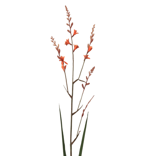 Zijden bloem Crocosmia oranje