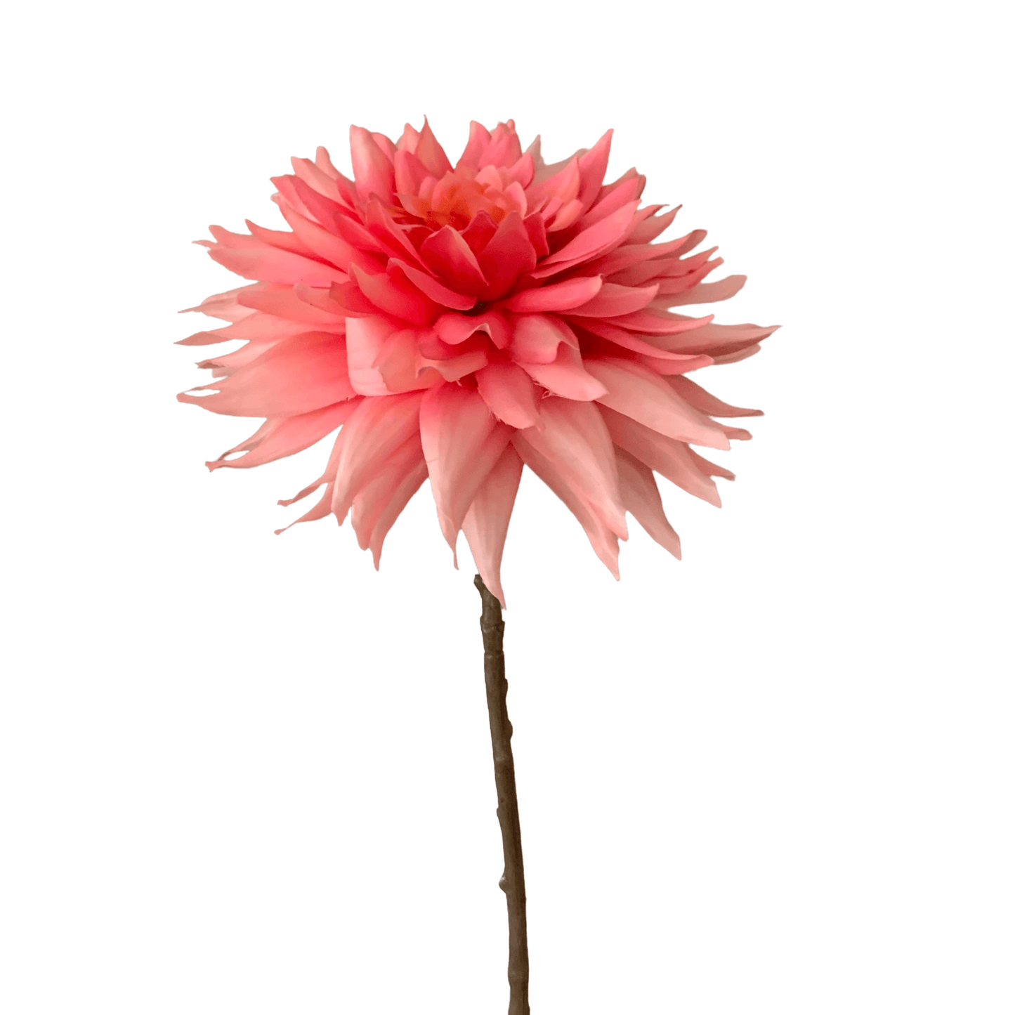 Dahlia groot in roze van Silka
