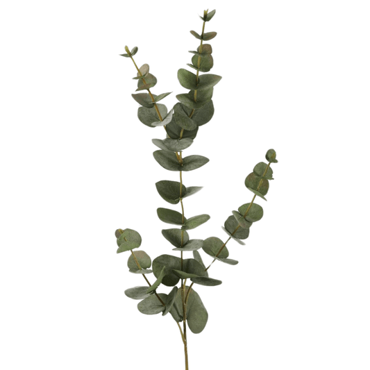 Zijden Eucalyptustak - 81cm hoog