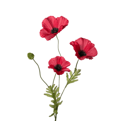 Seidenblume Mohn rot