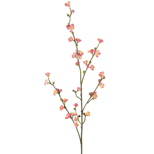 Bloessemtak - 109cm Hoog