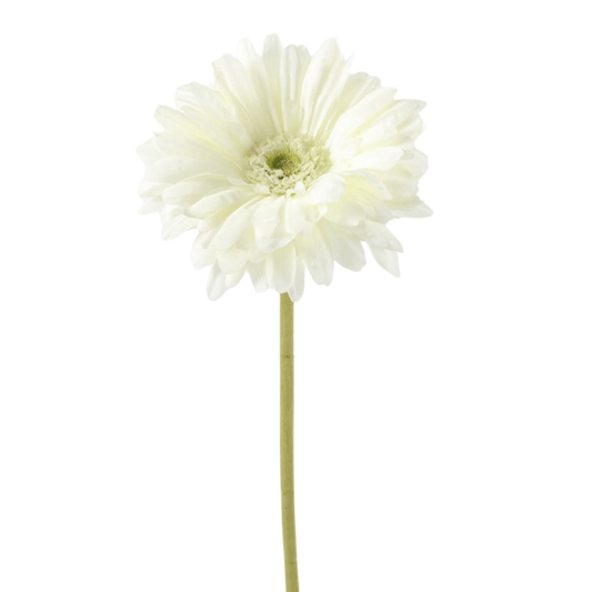 Zijden bloem Gerbera - Wit