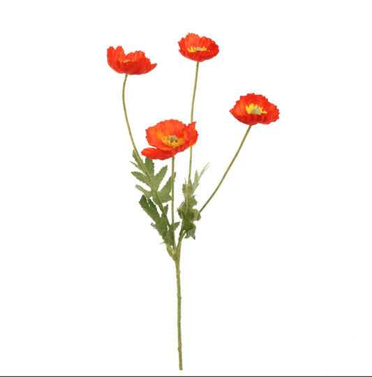 Zijden bloem Papaver