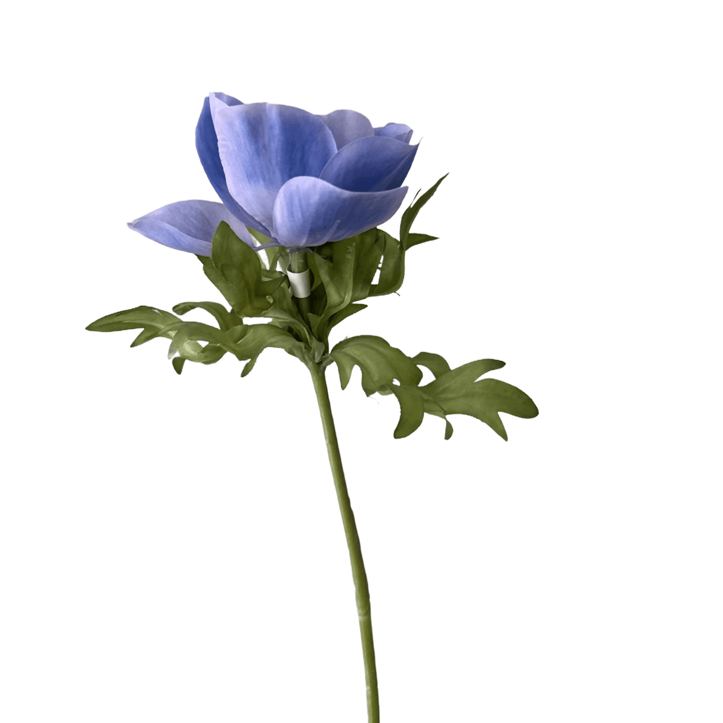 Zijden bloem anemoon blauw/paars
