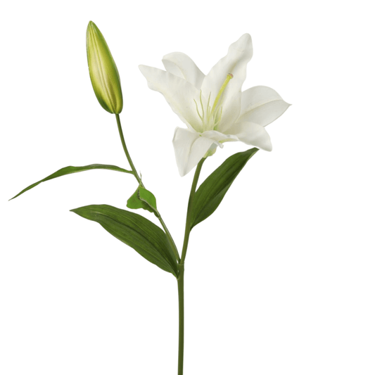 Zijden Lelie – wit – 80 cm hoog
