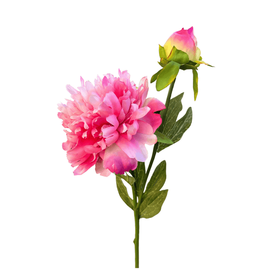 Zijden Pioenroos in roze