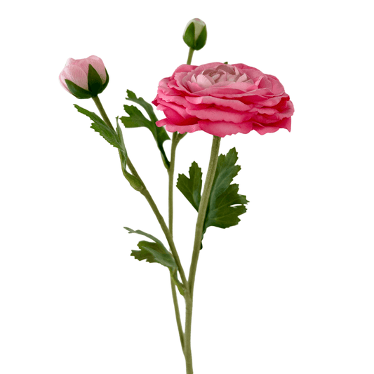 Zijden Bloem Ranonkel - fuchsia Roze - 50cm