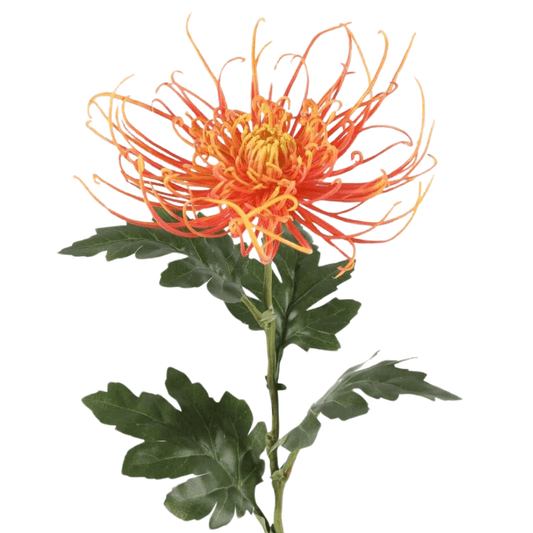 Spiderchrysant Kunstbloem – 75 cm Hoog