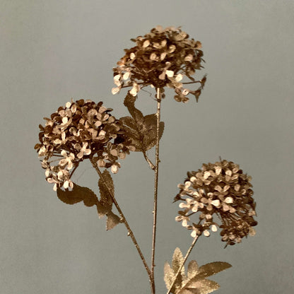 Viburnum goud met 3 bloemen