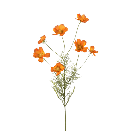 Kunst Cosmos Tak met 7 bloemen- Oranje