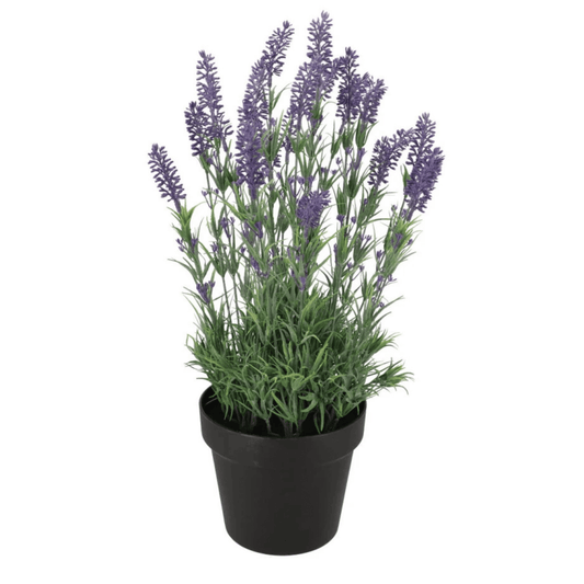 Kunstlavendel - 54cm Hoog