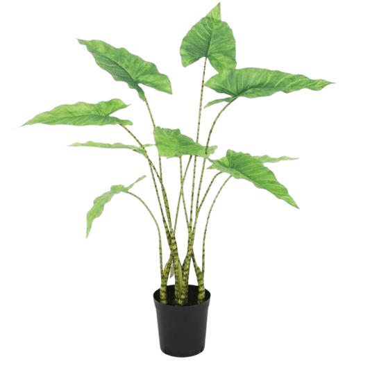 Kunstplant Alocasia Zebrina – 85 cm Hoog