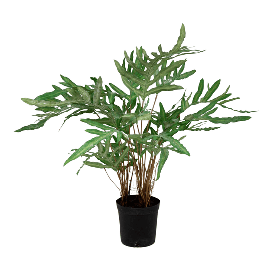 Kunstplant Phlebodium – 80 cm Hoog