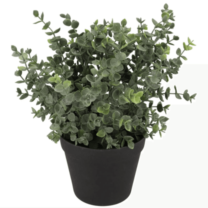Kunst eucalyptus plant - in 2 maten – realistisch en onderhoudsvrij