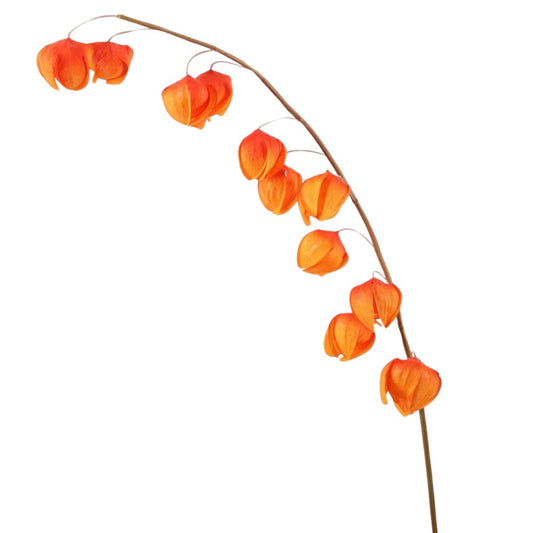 Visalis Lantern Spray – Oranje Lampiontak – 116 cm – Kunstbloem